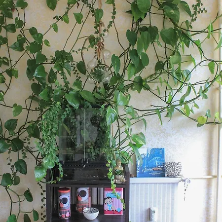 Albergue Le Chateau Blanquefort (Gironde)