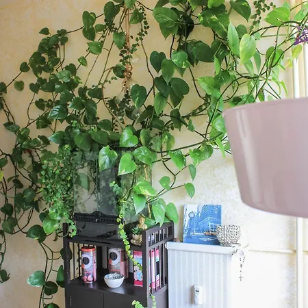 Albergue Le Chateau Blanquefort (Gironde)